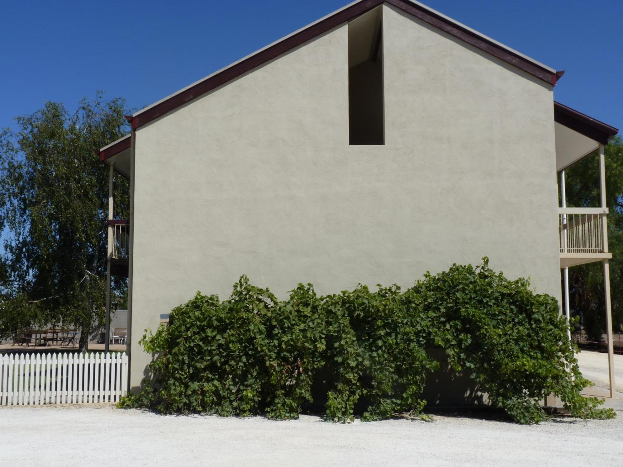 Coonawarra Motor Lodge Penola Esterno foto